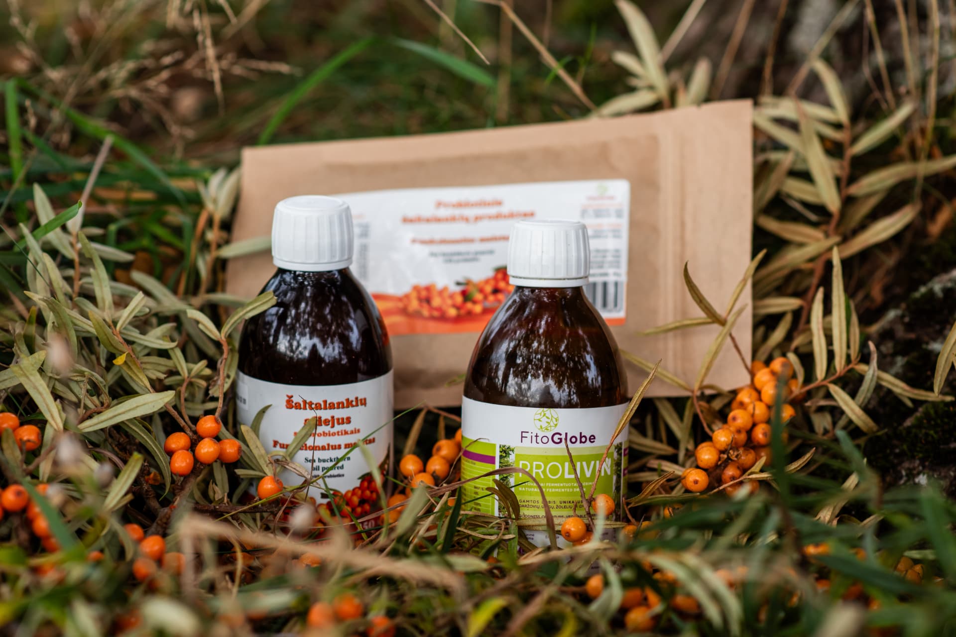 Berrify produktų rinkinys šaltalankių plantacijoje tarp oranžinių uogų